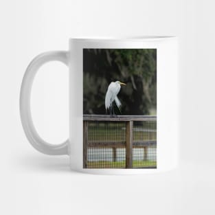 Great Egret, Lake Kissimmee, Florida Mug